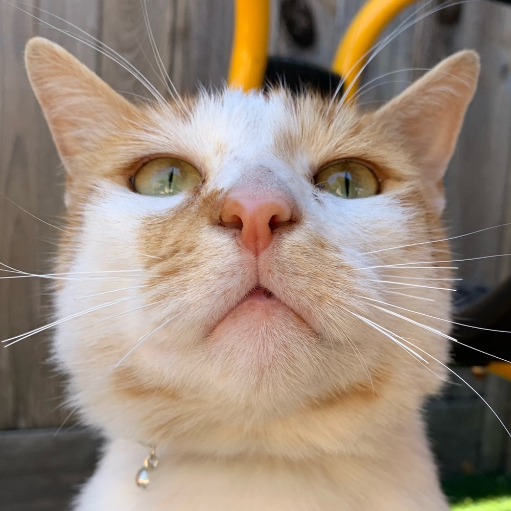 Meet your Posher, Ana